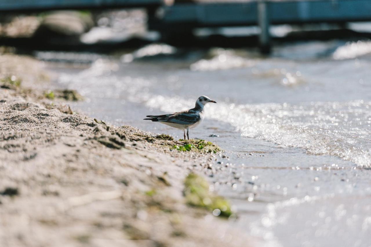 Insel Der Sinne Görlitz Esterno foto